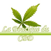 LA BOUTIQUE DU CBD LAVANGEOT 